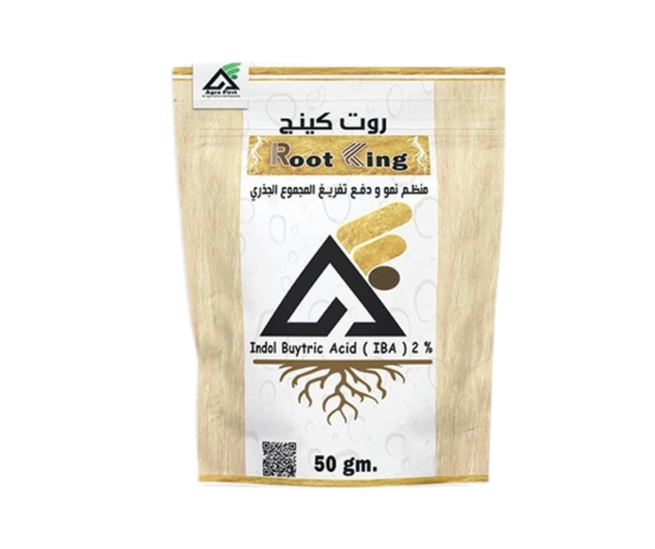 روت كينج