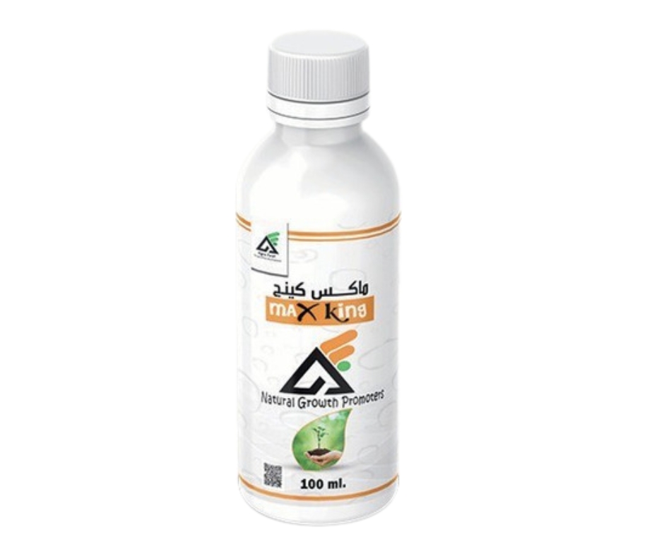 ماكس كينج