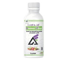 امينو فرست